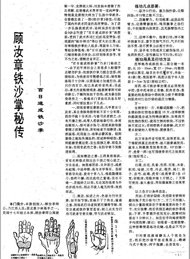 顾汝章铁砂掌pdf