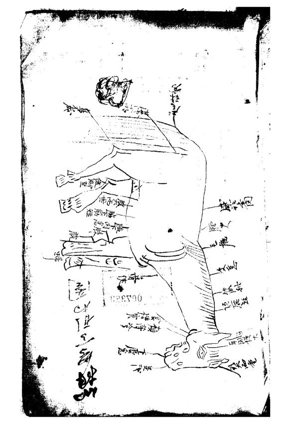 相牛法 相马法pdf